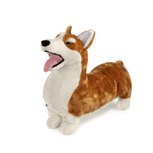 Corgi